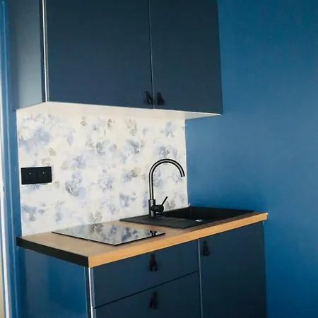 Li Li Et Rose Appartement
